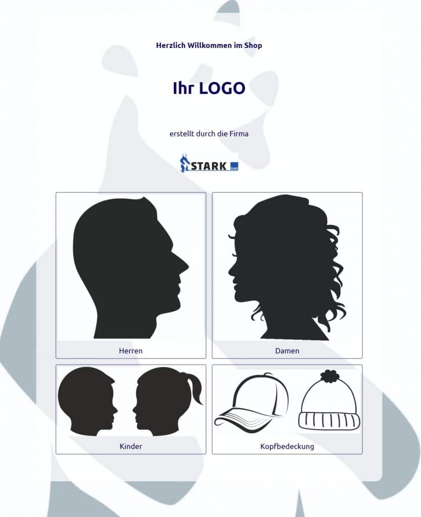 Demo-Shop Startbildschirm